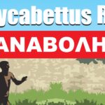 Αναβάλλεται το 7ο Lycabettus Run